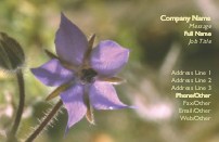 Purple Violet Recycled Business Cards