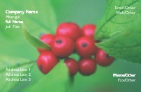 Red Berries Recycled Business Cards
