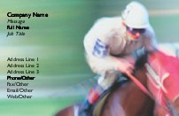 Jockey and Horse