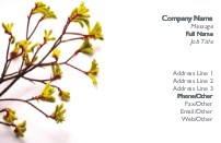 Delicate Stems Recycled Business Cards