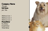 Furry Love Full Colour Business Cards