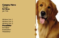 Golden Retriever Full Colour Business Cards