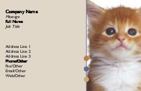 Orange Kitten Full Colour Business Cards
