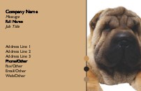 Shar-Pei Puppy Full Colour Business Cards