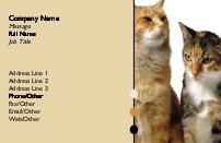 Feline Friends Full Colour Business Cards