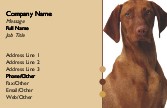 Vizsla Dog Full Colour Business Cards