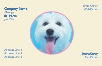 White Puppy Full Colour Business Cards