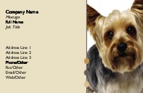 Yorkshire Terrier Full Colour Business Cards