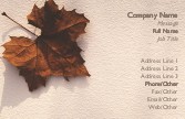 Autumn Leaf