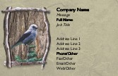 Bird on a Limb Full Colour Business Cards