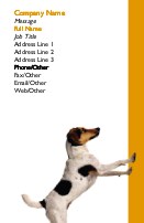 Climbing the Walls Full Colour Business Cards