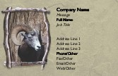 Ram in Wood Frame Full Colour Business Cards
