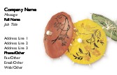 Colourful Drink Umbrellas Full Colour Magnetic Business Cards