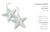 Two Silver Stars Recycled Business Cards