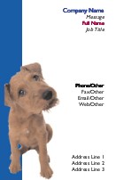 Sad Dog Full Colour Business Cards