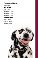 Perky Pooch Full Colour Business Cards