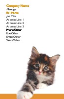 Kitten Full Colour Business Cards