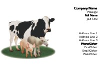 Farm Animals