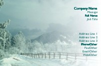 Winter Road Full Colour Business Cards