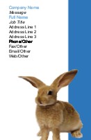 Cuddle Bunny Full Colour Business Cards