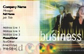 The Business World Full Colour Business Cards