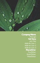 Dew on Leaves Full Colour Business Cards