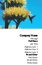 Hummingbird in Flower Full Colour Business Cards