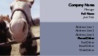 Horse Close-up