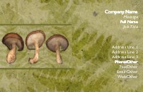 Mushroom Delight
