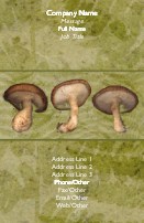 Mushroom Delight Full Colour Business Cards