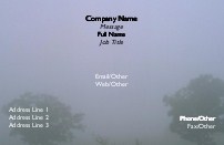 Trees In The Mist