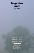 Trees In The Mist Full Colour Business Cards