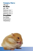 Furry Friend Full Colour Business Cards
