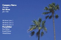 Swaying Palms