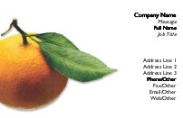 Orange off the Tree
