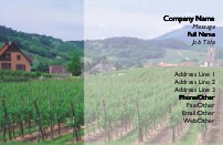 Vineyard Scene