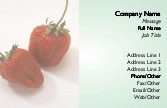 Berry Bliss Full Colour Magnetic Business Cards