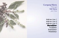 Garden Herbs