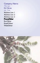 Garden Herbs Full Colour Business Cards