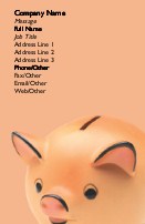 Piggy Bank