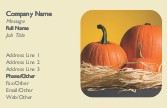 Pumpkins and Raffia Recycled Business Cards