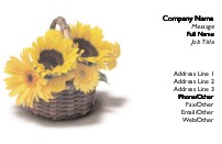 Basket of Flowers