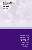 Computer Chip Map Full Colour Business Cards