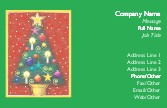 Festive Delight Full Colour Business Cards