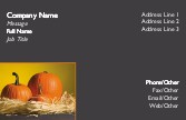 Autumn Arrangement Recycled Business Cards