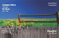 Meadow of Flowers Full Colour Magnetic Business Cards