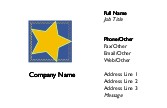 Stitched Star Recycled Business Cards