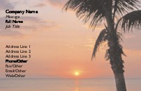 Sunset with Palm Tree Full Colour Magnetic Business Cards