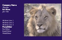 King of the Jungle Full Colour Business Cards