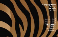 Animal Print Background